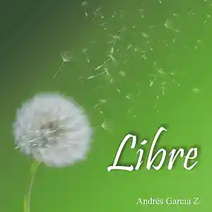 Picture for song '01 DESDE ALLA' by artist 'Andres Garcia Z'