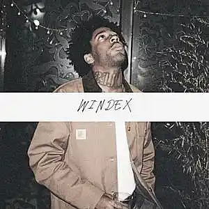 Picture for song 'Windex (Brent Faiyaz Type Beat) - Devezin.com' by artist 'Devezin'