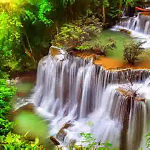 Picture for song 'In the Rainforest' by artist 'Johanna Renfro'