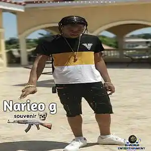 Picture for song 'NARIEO G - souvenir' by artist 'Shabria entertainment record label'