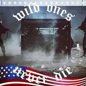 Picture for song 'Walking Souls (Original Mix)' by artist 'Distorted War Fox'