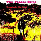 Picture for song 'Electric Monkey Bike' by artist 'The Voodoo Skins'