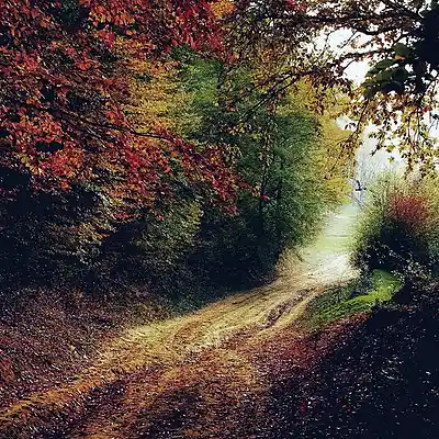 Picture for song 'Another Dirt Road Mile...' by artist 'TimM Songs'