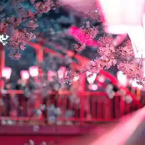 Picture for song 'trees' by artist 'Wjgo'