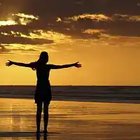 Picture for song 'Not My Will' by artist 'Bevs New World'