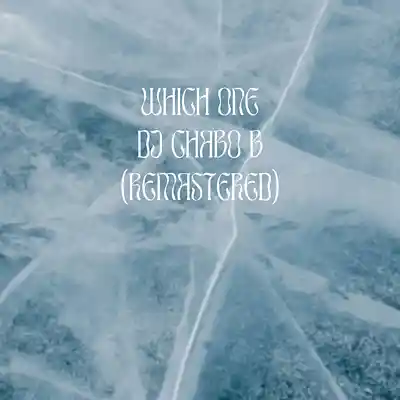 Picture for song 'DJ CHABO B - Which One' by artist 'DJ CHABO B'