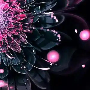 Song picture