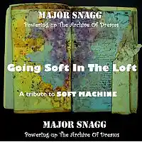 Picture for song 'Going Soft In The Loft' by artist 'Major Snagg'