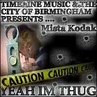 Picture for song 'Stepp'n sharp' by artist 'Mista Kodak'