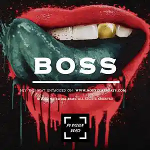 Picture for song 'Tyga "Boss" BUY 2 GET 1 FREE' by artist 'No Excuse Beats'