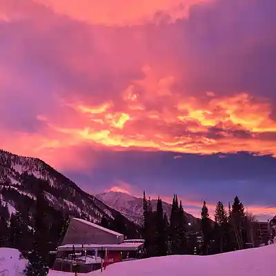 Picture for song '1oneam Type Beat - "ski"' by artist 'prodByj0nikz'