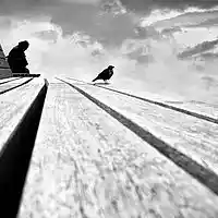 Picture for song 'The racket 1.....' by artist 'stefanos grigoriadis'