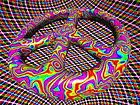 Picture for song 'Trip to Wonderland' by artist 'Shakri'