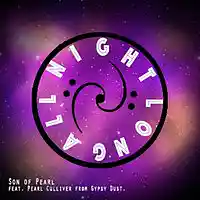 Picture for song '02 - AllNiteLong' by artist 'SON OF PEARL'