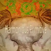 Picture for song 'Harmonious Primitive' by artist 'Stereo2tape'