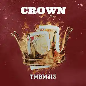 Picture for song 'Crown' by artist 'TMBM313'