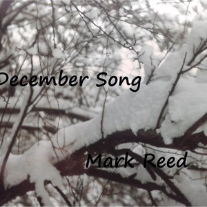 Picture for song ' Awakeniing' by artist 'December Song'