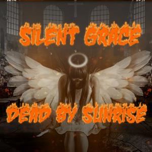 Picture for song 'Silent Grace 10 In The Rain' by artist 'Silent Grace1'