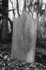 Picture for song 'tomb_stone' by artist '1nna sense'