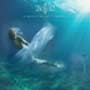Picture for song 'Lady of the Moon' by artist '2002 (US)'