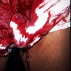 Picture for song 'Bloody Sunday Underpants' by artist '211 Productions (PGH)'