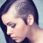 Picture for song 'Knights Templar |*BUY 1 GET 1 FREE* (4BEATSX$50)' by artist '24KBEATS.COM'