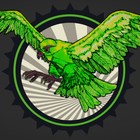 Picture for song 'Green Feathered Hawk' by artist '2 hours till Breakdown'