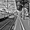 Picture for song 'Trains' by artist '333maxwell'