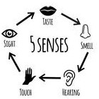 Picture for song '3Da Hard - 5 SENSES (produced by Illah Muzik)' by artist '3DaHard'