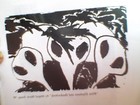 Picture for song 'My Heart Is Sleeping' by artist 'Abigail Marie Young'