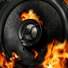Picture for song 'Adonis Productionz-OOh Wee(NEW)' by artist 'Adonis Productionz'