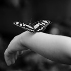 Picture for song ':::NEW::: "Let's Fly Away" (Free Download!)' by artist 'ALBOZBEATS Productions'
