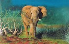 Picture for song 'Slaves, Elefants and Chains' by artist 'Alex Qwedra'