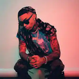Picture for song '"Arctic" Ronny J Type Beat' by artist 'Aliciqqa'
