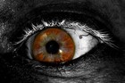 Picture for song 'horror flick' by artist 'Alonso Fibonacci'