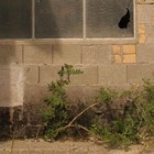 Picture for song 'up or out' by artist 'als gaebe es kein morgen'