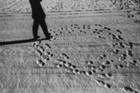 Picture for song 'Footprints (In Circles)' by artist 'Amby-Valent'