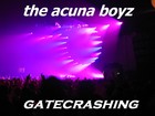 Picture for song 'face the music (acuna boyz spiritus sancti mix)' by artist 'amsterdamm'