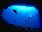 Picture for song 'Deep in the Ocean' by artist 'Andre Henriquez'