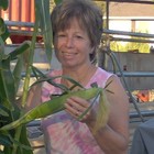 Picture for song 'Country Smile' by artist 'Andybob's Country Music'