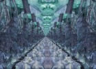 Picture for song 'liar ( fallin down) 2' by artist 'Archief Bizar'