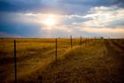 Picture for song 'Dry Field' by artist 'Arctic Soul'
