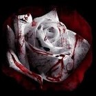 Picture for song 'Revenge' by artist 'Armando Ferrer'