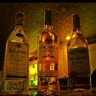 Picture for song 'Get Tipsy : sold' by artist 'Arson Of ENCORE'