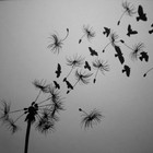 Picture for song 'Remember (Smooth/Storyteller) FREE DL!' by artist 'Arson Of ENCORE'