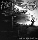 Picture for song 'Delirio Nocturno - Ilusion final' by artist 'Asfigmia'