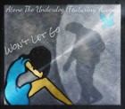 Picture for song 'Won't Let Go (Featuring AIAME)' by artist 'Atone The Underdog'