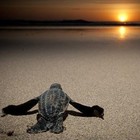 Picture for song 'JOURNEY (FREE DOWNLOAD)' by artist 'AUDIPLEX INSTRUMENTAL'