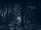 Picture for song 'Dark Woods - Aye-Jay Production' by artist 'Aye-Jay2010'