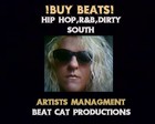 Picture for song 'Chakuza Beat 100 BPM Instrumental' by artist 'Beat Cat'